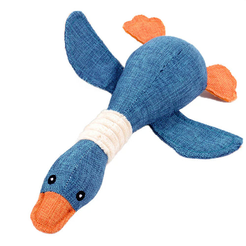 Duck Water Toy