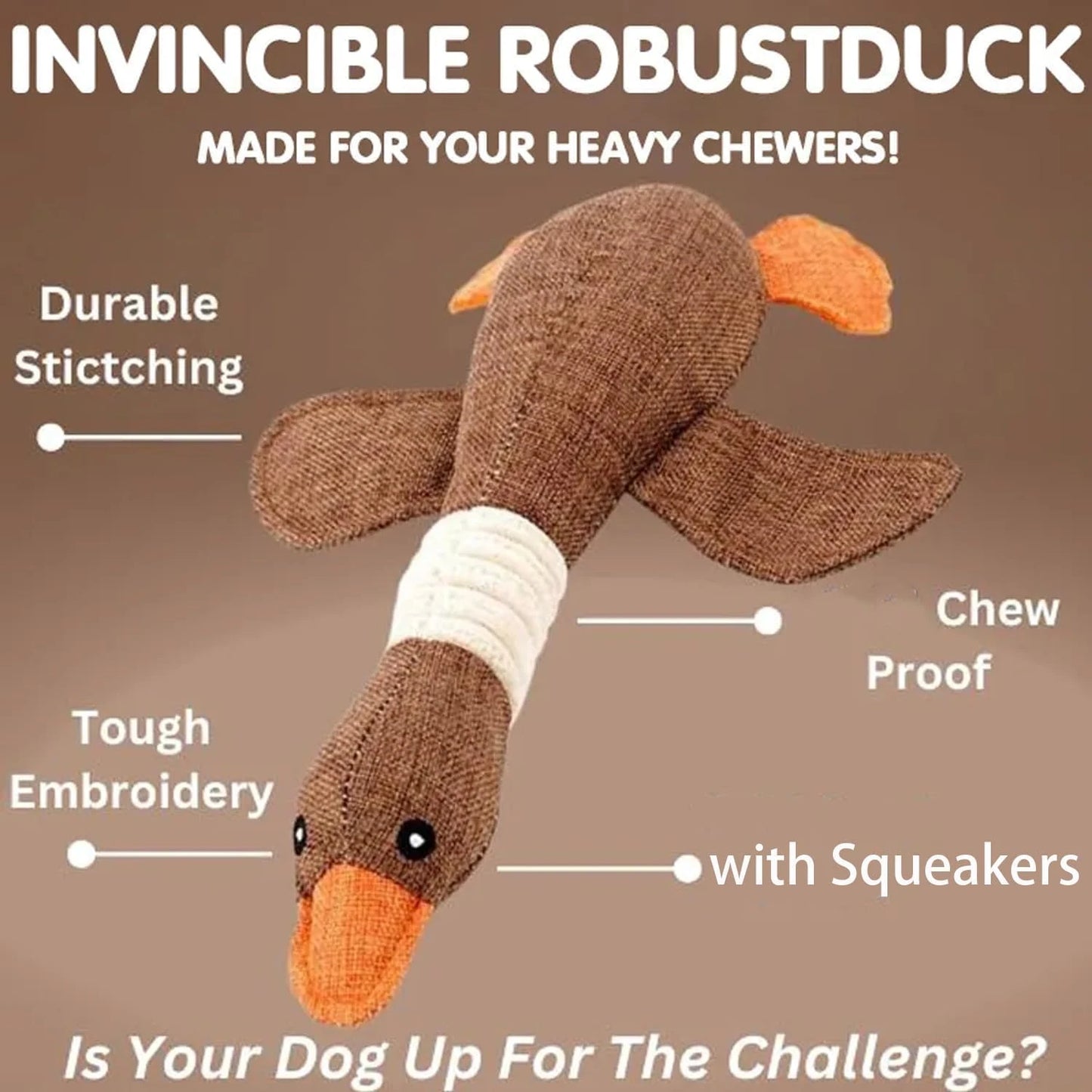 Duck Water Toy