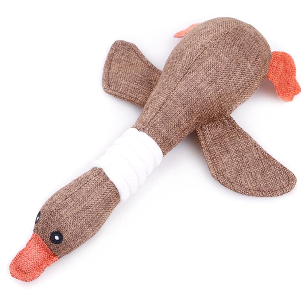 Duck Water Toy