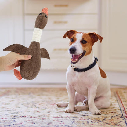 Duck Water Toy