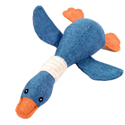 Duck Water Toy