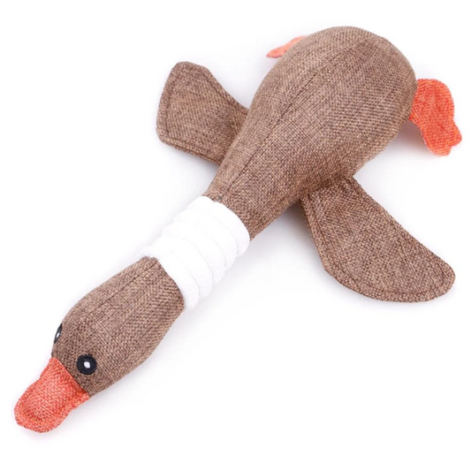 Duck Water Toy